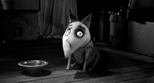 Frankenweenie foto 5