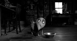 Frankenweenie foto 7