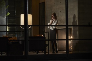 Nocturnal Animals 4