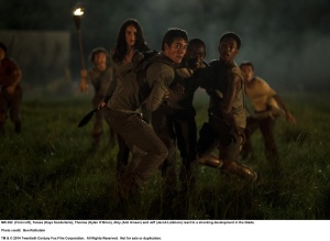 Maze runner 3