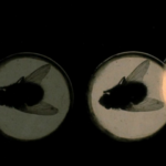 Image for 